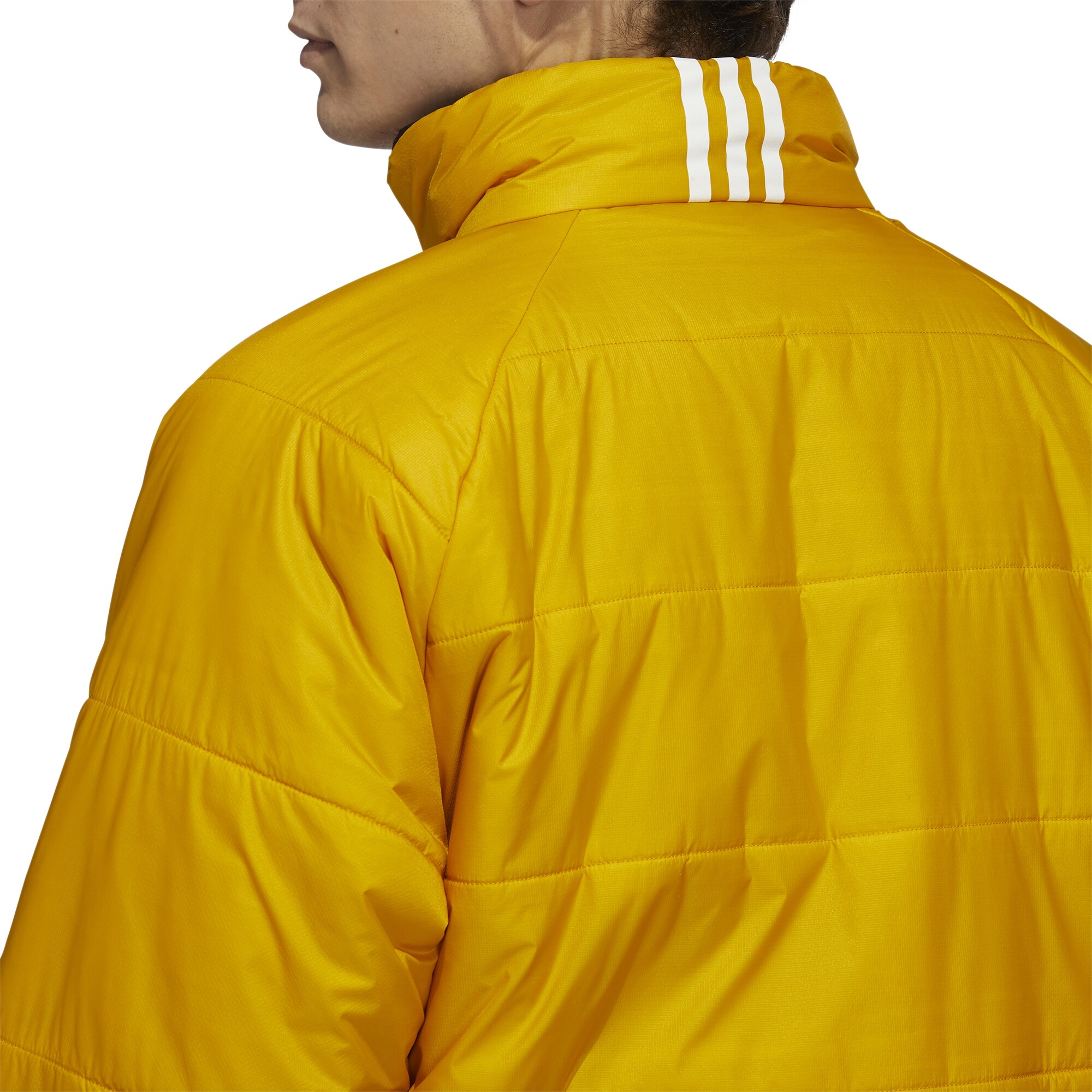 Adidas Midlayer jack legacy gold / mineral green / white