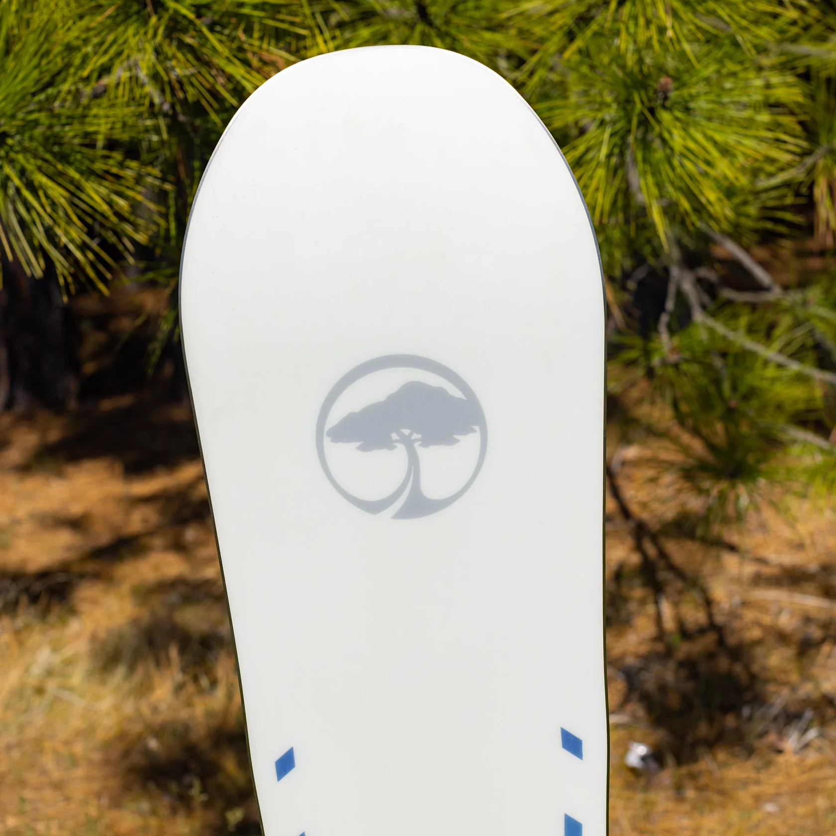 Arbor Mantra Camber snowboard 