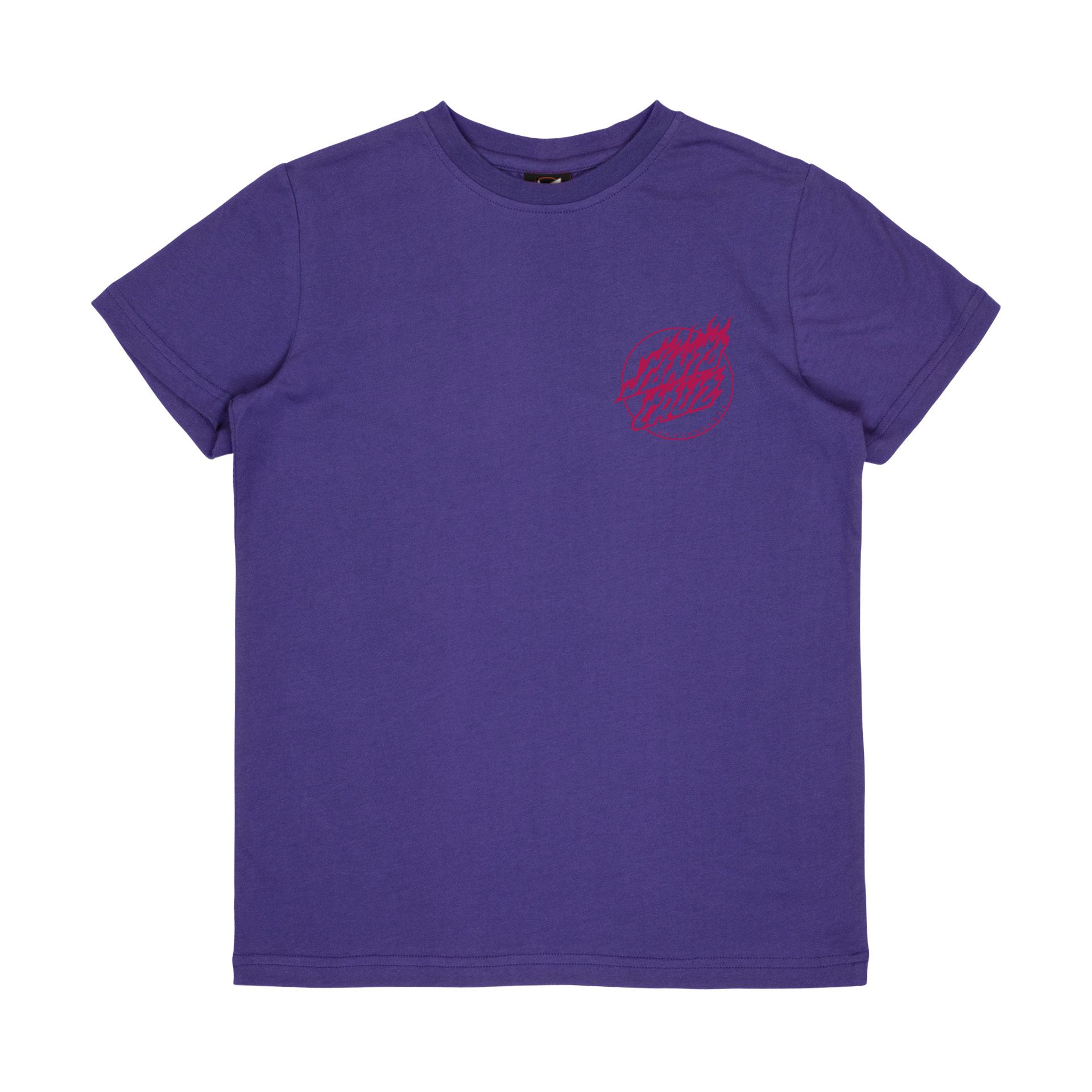 Santa Cruz Charmander youth t-shirt purple