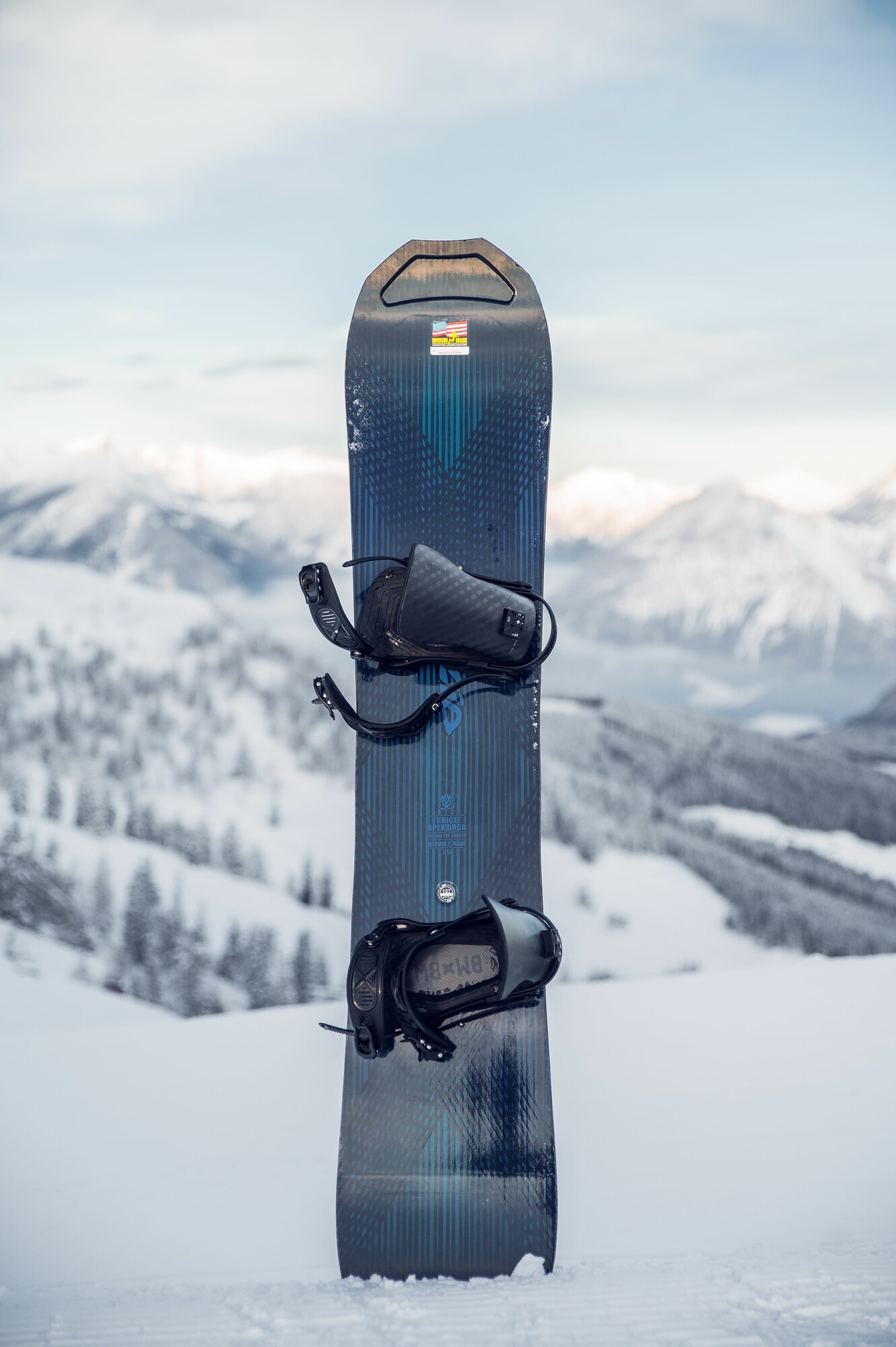 Lib Tech Apex Orca snowboard