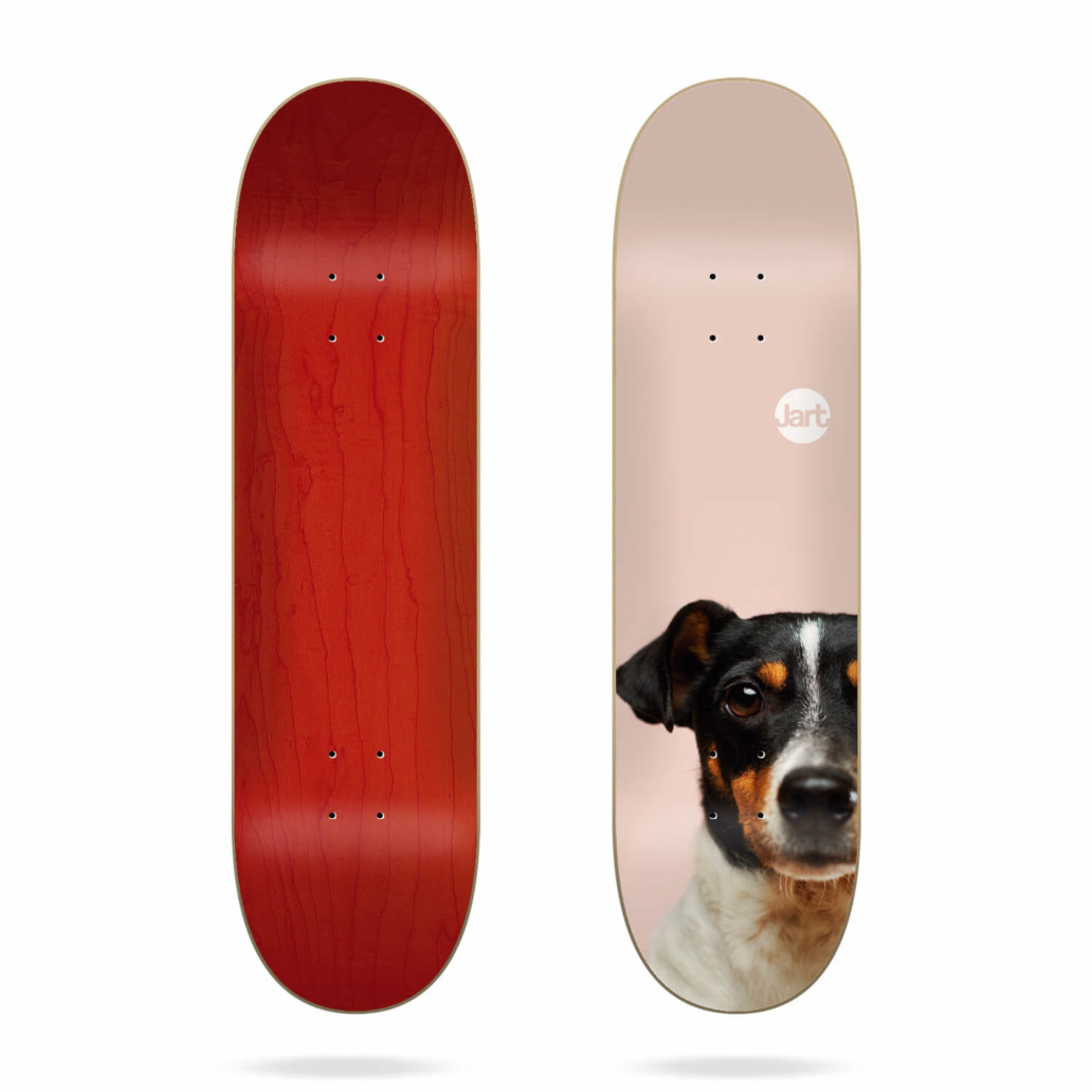 Jart Friends 8.125" skateboard deck