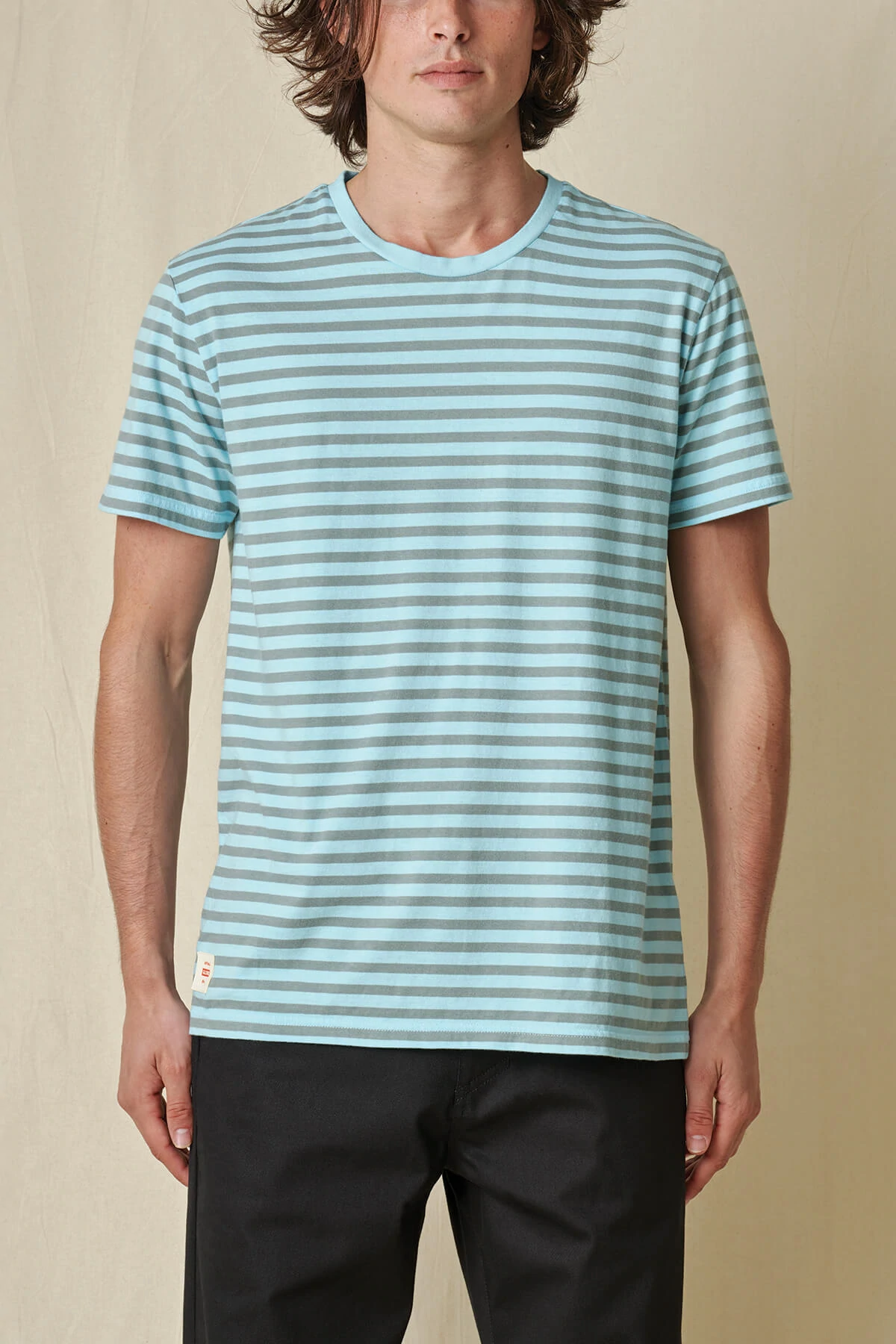 Globe Horizon Striped T-shirt marine